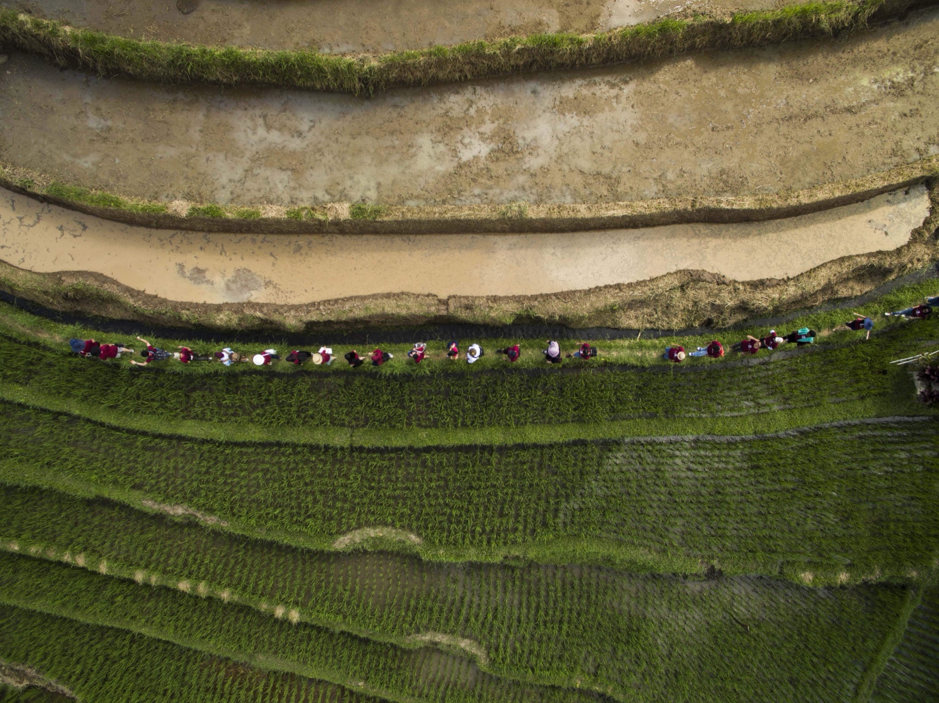 Aerial view of Bali